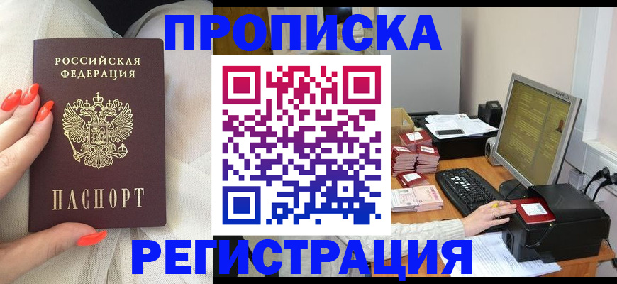 временная регистрация поиск в Луге